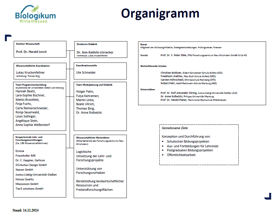 Organigramm